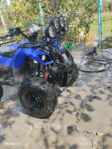 спортивные мотоциклы цены: Квадроцикл Yamaha, Бензин, 140 куб. см, Взрослый — 3