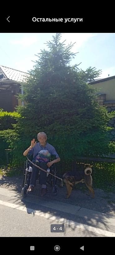 Сфера образования: Требуется Сиделка — 1