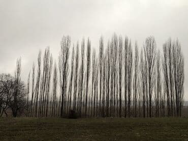 нижный аларча участок: 8 соток, Для строительства, Красная книга — 7