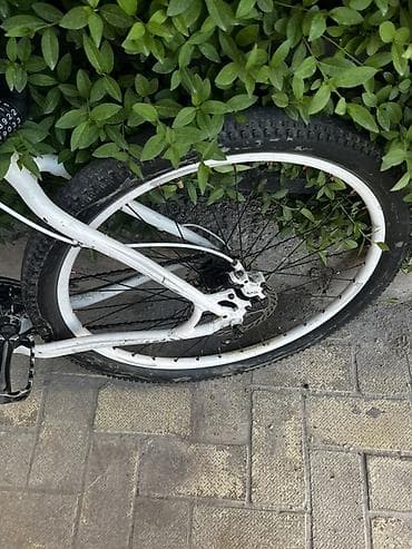 single speed: Горный велосипед, Specialized, Алюминий — 6