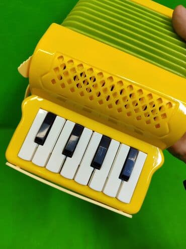 аккумулятор для детской машины: Аккордеон игрушка детская музыкальная🪗 Комплектация товара — 4