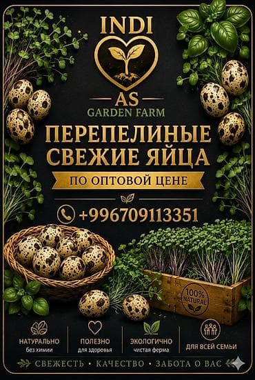куры несушки: Перепела и перепелиные яйца от INDI AS Garden Farm - Свежие — 1