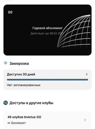 боксерский зал: Годовой абонемент Invictus GO - Тип: годовой доступ в сеть — 1
