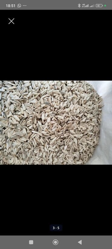 кленовый сироп бишкек: Есть 200 кг +-
Доставка есть Бишкек Кара Балта Сокулук Беловодск — 2