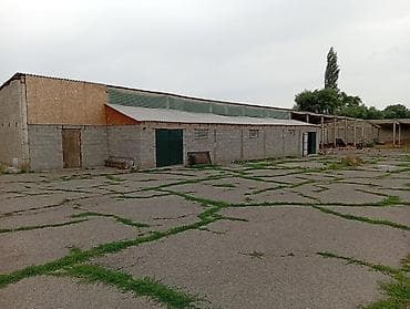 продажа ферм: Продается готовый бизнес, молчный ферма, сельхоз техника, площадь — 2