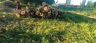 газон футбольный цена: Дрова Тополь — 9