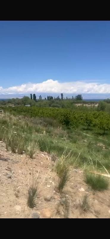 продажа участка в бишкеке: 400 соток, Для сельского хозяйства, Красная книга — 1