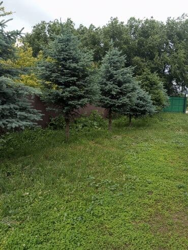 обмен на дом: Дача, 60 м², 6 комнат, Собственник, Старый ремонт — 3