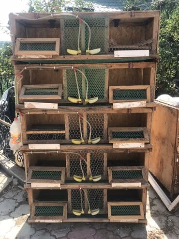 Товары и оборудование для с/х животных at lalafo.kg Товары и оборудование для с/х животных