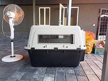 машинка для животных: Переноска/контейнер для животных (крупный размер) - Жесткий — 2