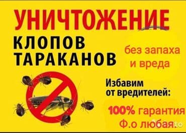 дезинфекция дома от клопов ош: Дезинфекция, дезинсекция, | Блохи, Вирусы, микробы, Клопы, | Дома, Кафе, магазины, Офисы — 3