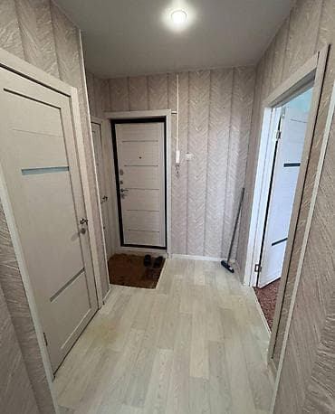 квартира полностью: 1 комната, С мебелью полностью — 3