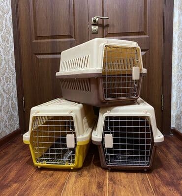 купить сумку переноску для кота: Зоотовары. животные. Переноска бокс номер 2 для животных. размер — 1