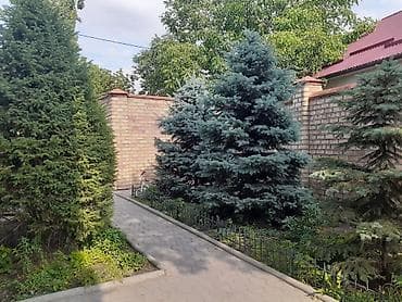 Үйлөрдү сатуу: 360 м², 10 бөлмө — 3