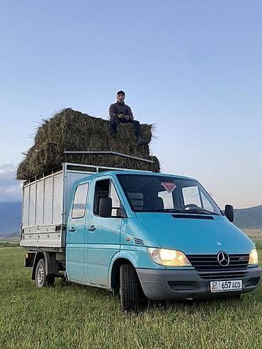 на спринтер сидения: Грузовик, Mercedes-Benz, Дубль, 3 т, Новый — 2