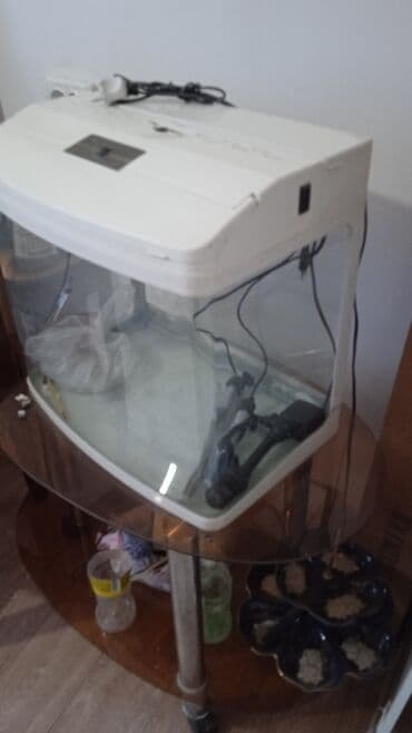 сколько стоит аквариум: Аквариумы — 2