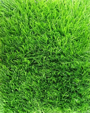 цена искусственного газона для футбольного поля: Газон спортивный для футбольного поля гарантия качества высота ворса — 7