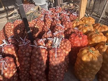 Соусы и специи: Лук Оптом, Самовывоз — 2