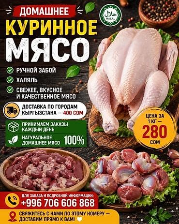 куры: Тоок эти 
мясо броллер 
250 кг Домашний — 6
