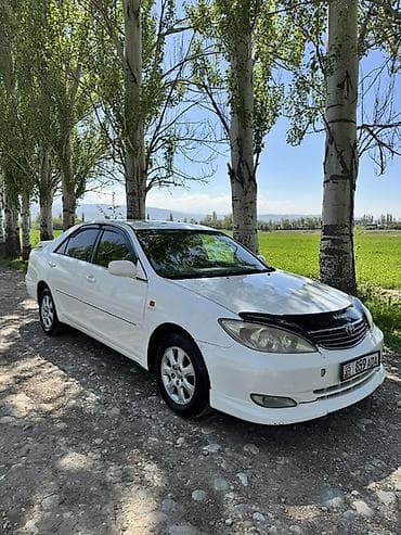 Toyota Camry: 2002 г., 2.4 л, Автомат, Бензин, Седан