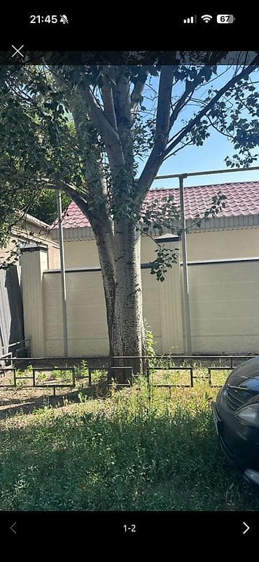 Дрова Тополь, Самовывоз
