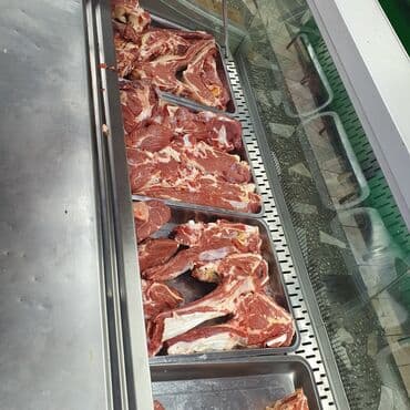 дойных коров: Продаю | Бык (самец), Музоо, торпок — 3