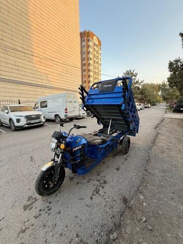 мото квадрацикл: Мотороллер муравей Электро, 60 км, 1000 - 1499 кг, Б/у — 6