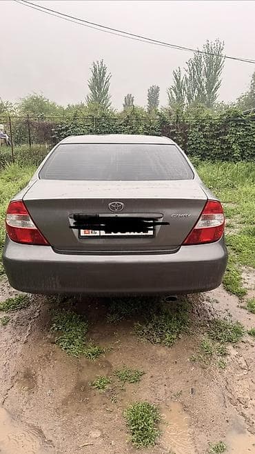 тайота грузовик: Toyota Camry: 2003 г., 2.4 л, Автомат, Газ, Седан — 6