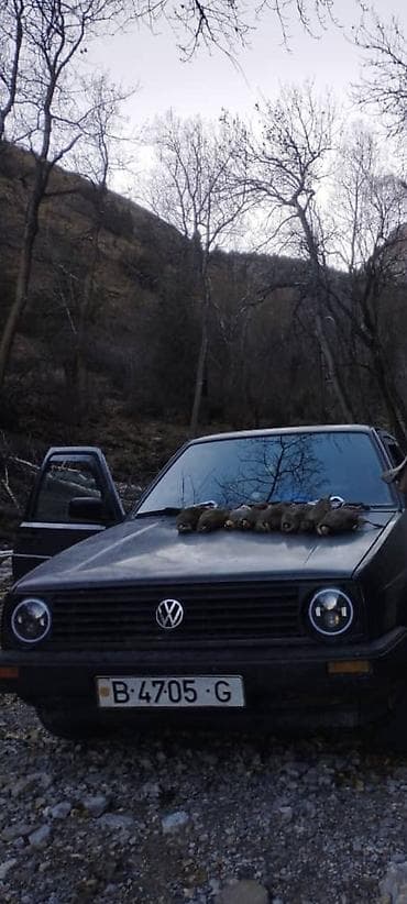 c4 с4: Volkswagen Golf: 1990 г., 1.8 л, Ручные, Бензин, Хэтчбэк — 1