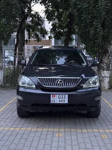авто краслер: Lexus RX: 2004 г., 3.3 л, Автомат, Газ, Кроссовер — 2