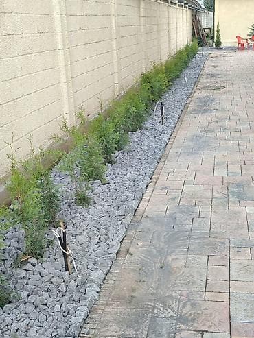 цветы акция: Сеем газон🌱🌱🌱🌱🌱 Установка Автополив 💦💦💦💦 Капельный полив 💧💧💧💧💧 По — 6