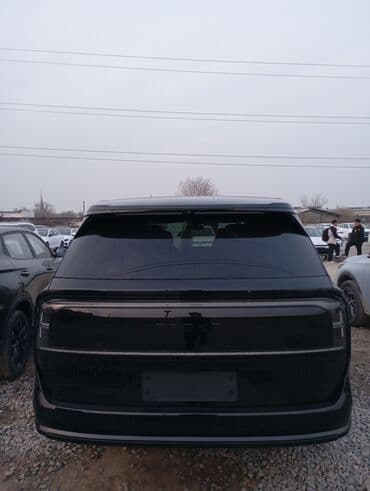 li 9 max: Zeekr 9X: 2 л | 2024 г. Бус — 4