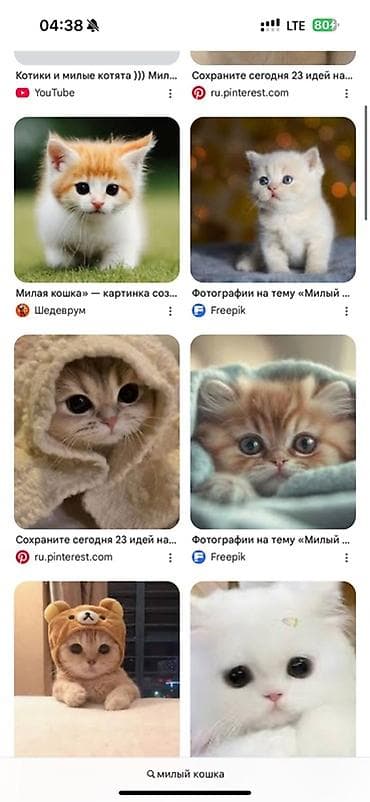 тери алабыз: Нужна кошка .
Желательно Маленькая ) это для Сестренки — 1