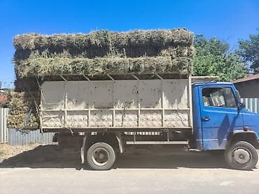 С/х животные и товары: Сено в тюках - Тюкованное сено, уложено штабелями на грузовик. - Тюки — 2
