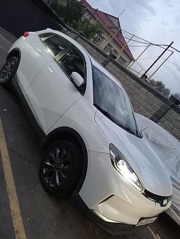 Weltmeister EX5, 2019 г.