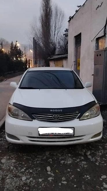 тайота велфайр: Toyota Camry: 2002 г., 2.4 л, Автомат, Бензин, Седан — 1