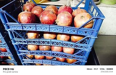 груша цена за 1 кг: Гранаты и свежевыжатый гранатовый сок Описание: - Спелые гранаты в — 3