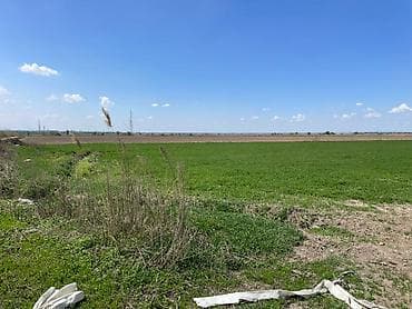 браво городок: 600 соток, Для бизнеса, Договор купли-продажи — 3