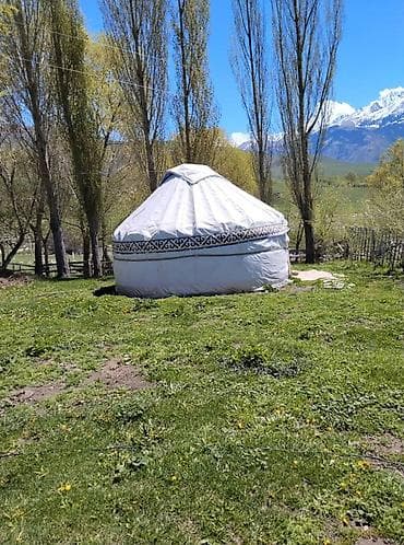 продать брейнрот: Кымызолечение в Чон Кемине 5 разовое кобылье молоко 3 разовое — 1