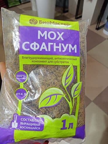продаю шампиньоны: Жер семирткич Акылуу жеткирүү, Өзү алып кетүү — 1