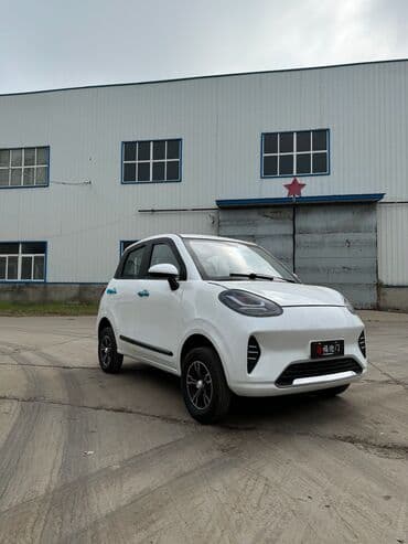 домик на калесах: Microcar : 2024 г., Электромобиль, Хэтчбэк — 1