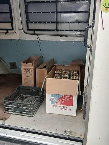 инкубато: Продаю!!! Передаю!!! Готовый бизнес 100% на ход поставленный!!! И — 3