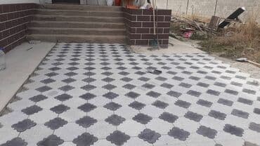 цветы бишкек комнатные: Бордюр, Гарантия, Бесплатный выезд, Бесплатная доставка — 24