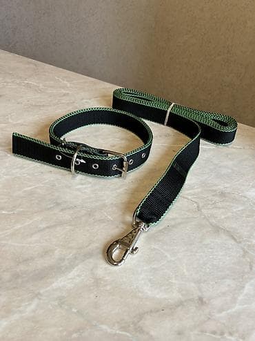 german shepherd: Комплект ошейник+поводок для крупных собак. Амуниция из нейлона — 5