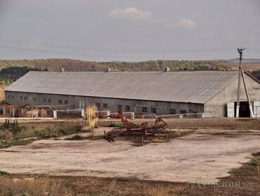работа в бишкеке 2000 сом в день: Кызматкер талап кылынат, Төлөм 10 күн сайын — 1