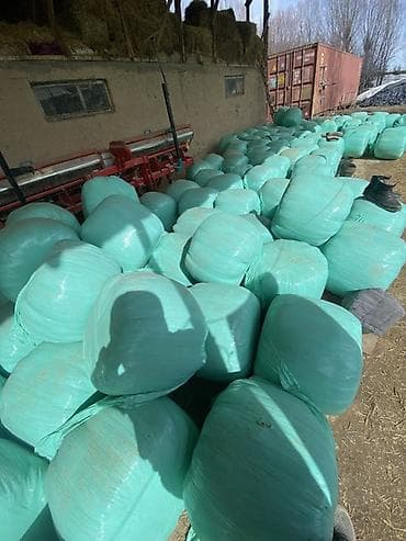 корм животным: Силос в индивидуальной упаковке (рулонные тюки в плёнке) - Заготовка — 2