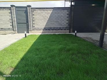 пионер кукуруза: Газон урук DLF Универсал 🌱 — 4