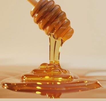 кымыз бышкыч: Иссык-Кульский чистый мед 500 сом за 1кг
Вотсап — 1