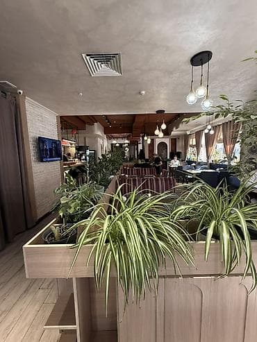 Торговля: Продается коммерческое помещение с действующим бизнесом:кафе «Василий — 6