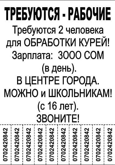 работа доя школьников: Требуются 2 человека для обработки курей ЗАРПЛАТА 3000сом в день Можно — 1